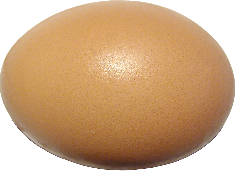 Farm Fresh Eggs